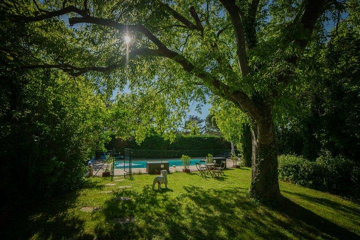 Provence Couples Escape: 3-Day Immersive Small-Group Stay