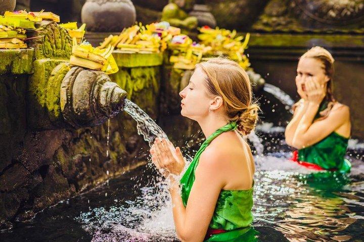 Ubud : Cascate, tempio e terrazza di riso Tour privato all-inclusive