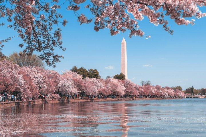 DC Monuments Tour mit 10 + Sites & Washington Monument Ticket