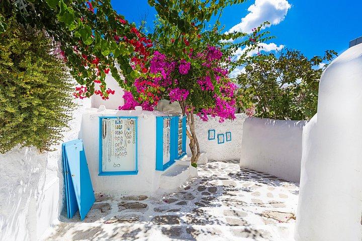 Top Rated Private Mykonos Tour – Fully Flexible