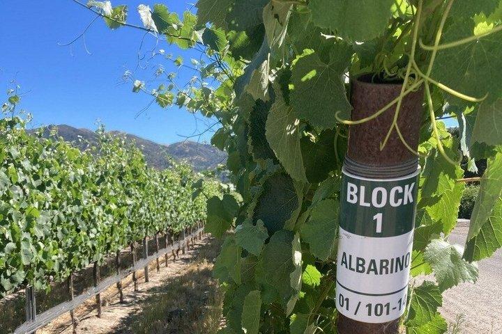 Wine Tours ( private ) 6 full hours .