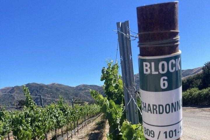 Wine Tours ( private ) 6 full hours .
