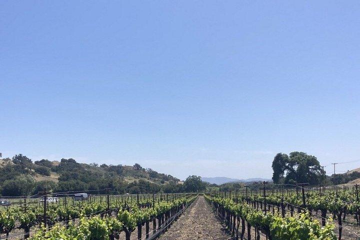 Wine Tours ( private ) 6 full hours .