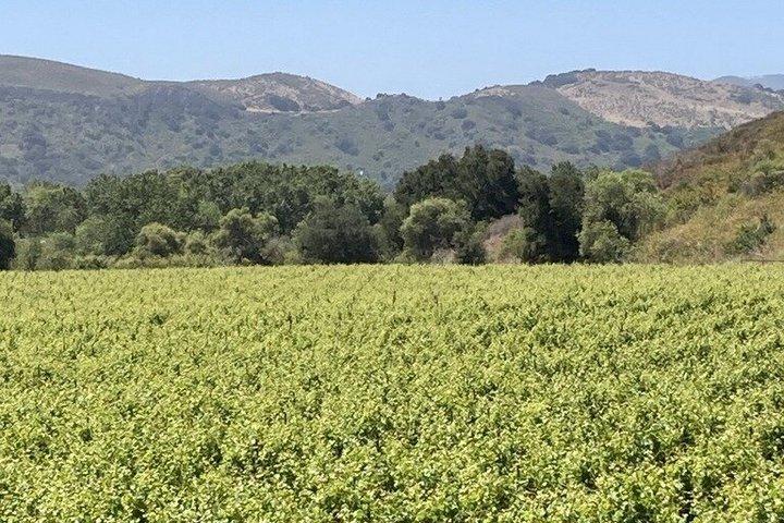 Wine Tours ( private ) 6 full hours .