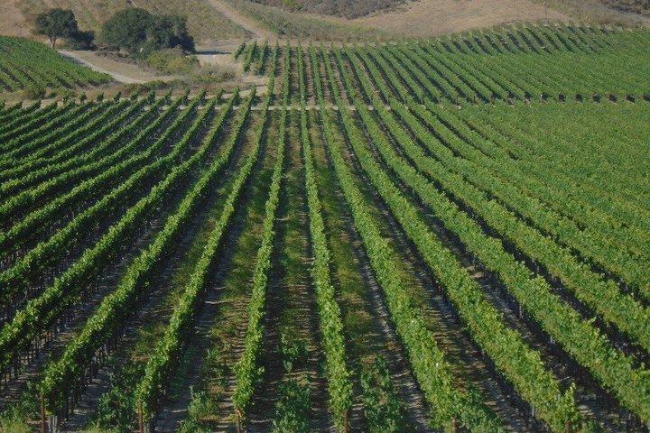 Wine Tours ( private ) 6 full hours .