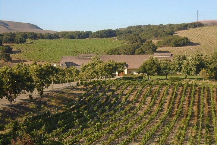 Wine Tours ( private ) 6 full hours .