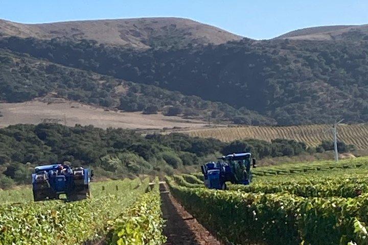 Wine Tours ( private ) 6 full hours .