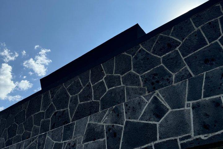 フリーダ・カーロ美術館の優先入場チケット
