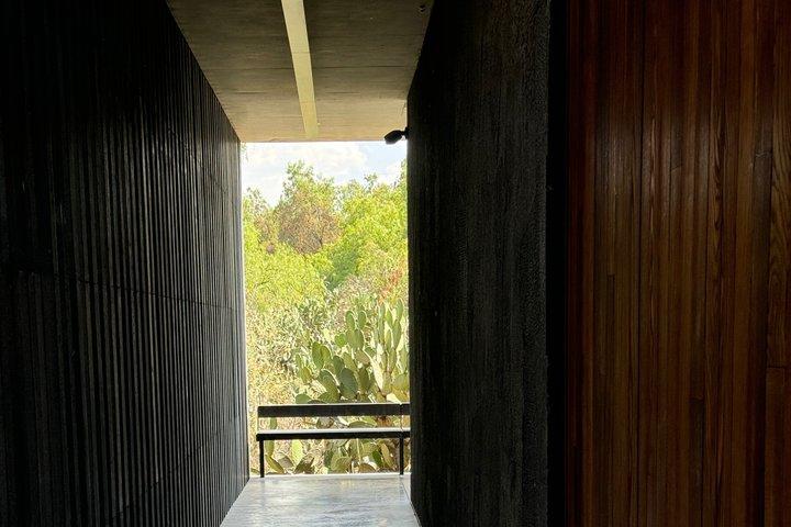 フリーダ・カーロ美術館の優先入場チケット