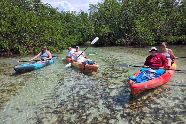 Siesta Key Noleggio kayak e pedalò | Midnight Pass Beach