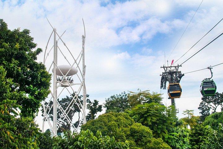 究極のセントーサアドベンチャー：空陸海ガイドツアー