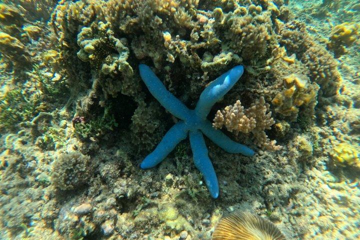 限定プライベート体験：秘密のギリ諸島5島