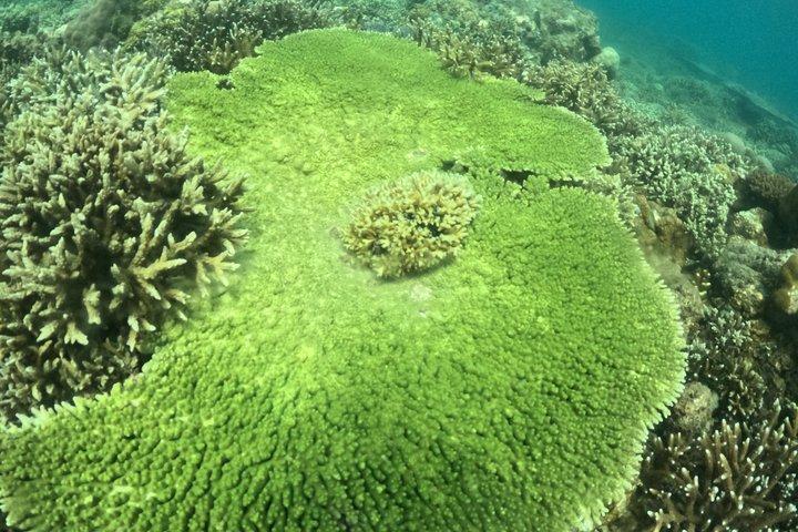 限定プライベート体験：秘密のギリ諸島5島