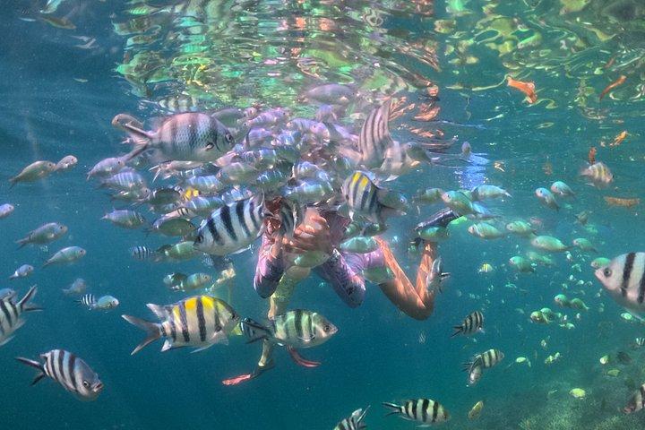 限定プライベート体験：秘密のギリ諸島5島