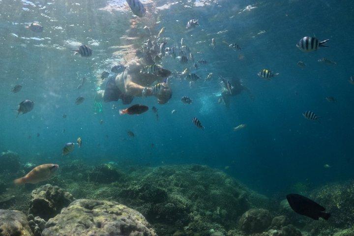 限定プライベート体験：秘密のギリ諸島5島