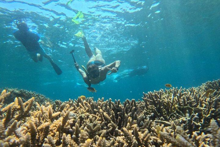 限定プライベート体験：秘密のギリ諸島5島