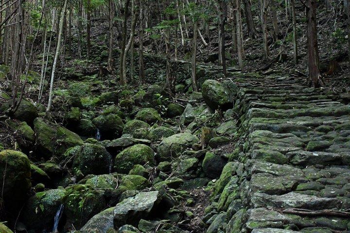 Culture Expérience : 2D1N Kumano Kodo Iseji Tour avec Guide Local