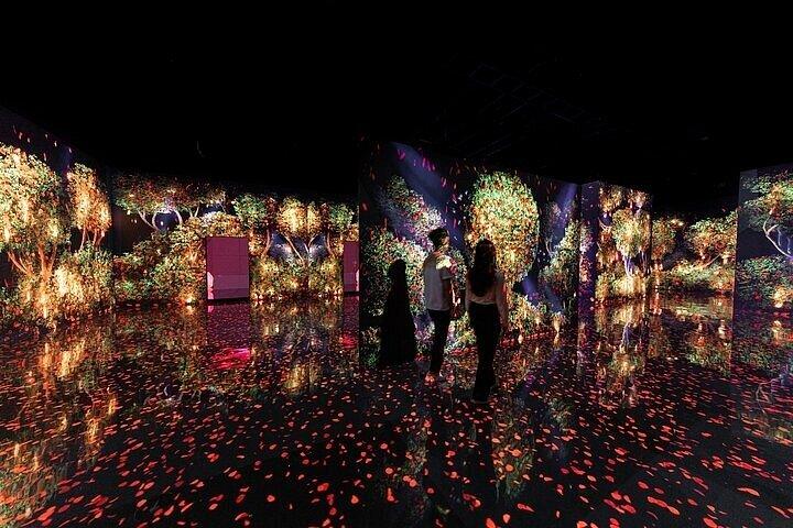 ドバイ・アルテ美術館入場券(アルテ・ティーバー付き)