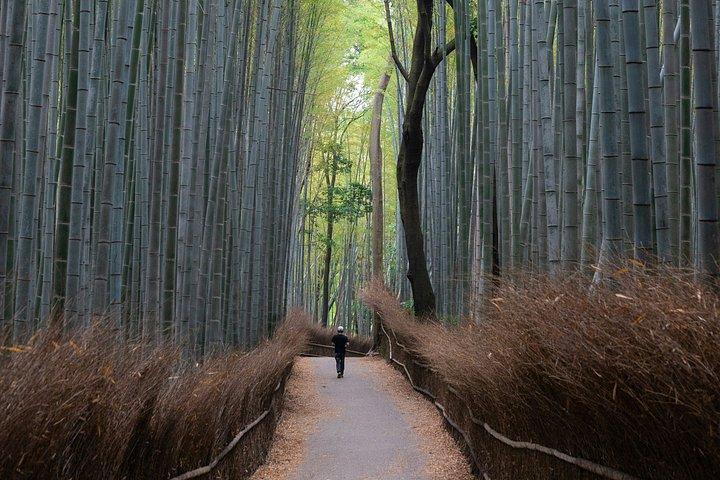 Osaka Kyoto USJ Private Van Transfer