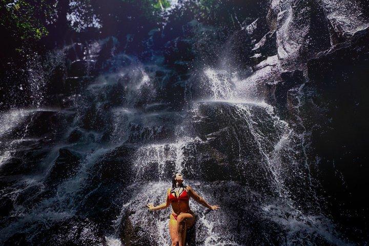 Bali Customized Tour Privat bil og chauffør