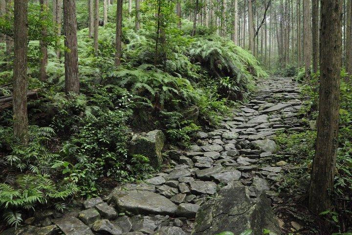 Komplet nedsænkning : 4D3N Kumano Kodo Iseji Tour med lokal guide