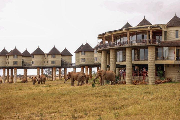 3-dagars Tsavo East och Saltlick Safari Adventure
