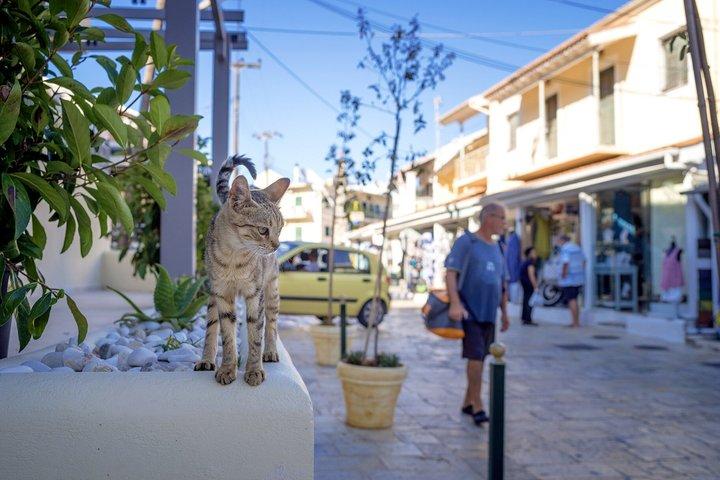 Corfu : Kassiopi & Canal d’Amour Excursão de um dia com opção de costa