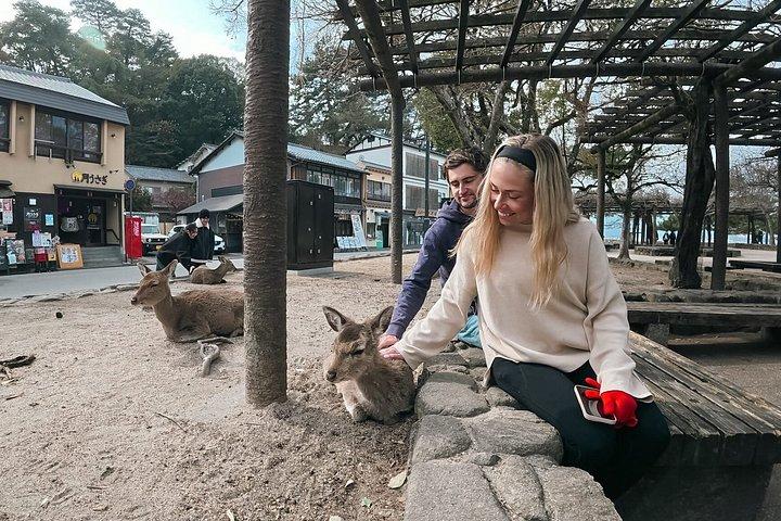 Hiroshima Walking Tour: Explore Top Sights & Hidden Gems