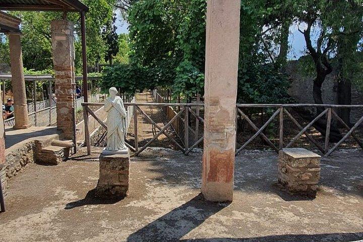ローマ発ポンペイ日帰り旅行（ワインと料理の試食付き）