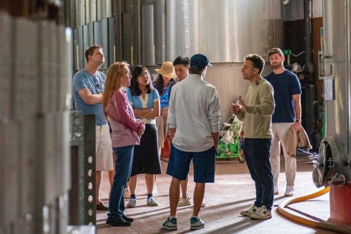 Ischia Wine Tasting Experience, Vineyards Tour and Hotel Pickup