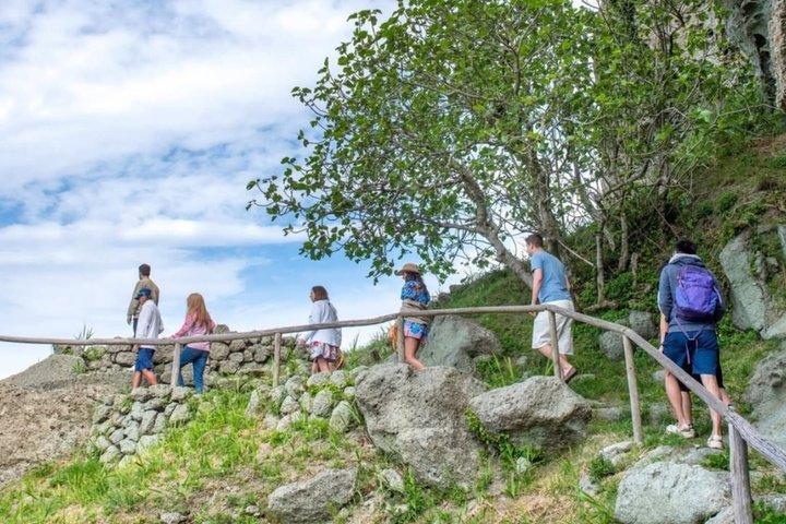 Ischia Wine Tasting Experience, Vineyards Tour and Hotel Pickup
