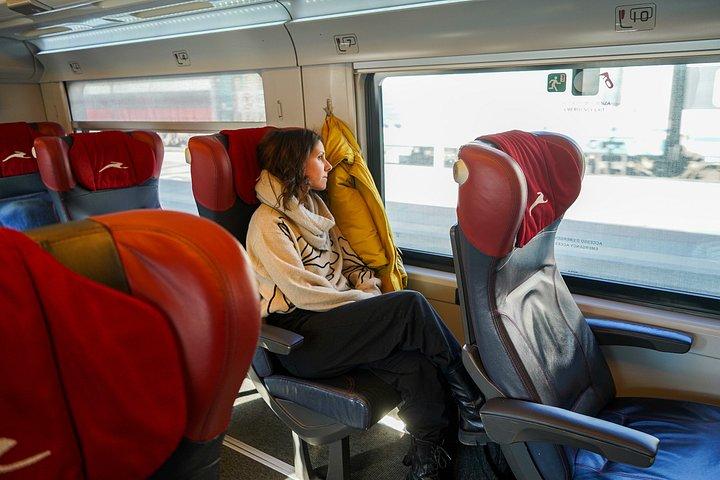 ミラノからヴェローナまで高速列車で行く：ガイド付きウォーキングツアー