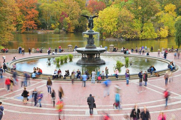 Tagestour durch New York: Central Park, 9/11 und die Fähre zur Freiheitsstatue