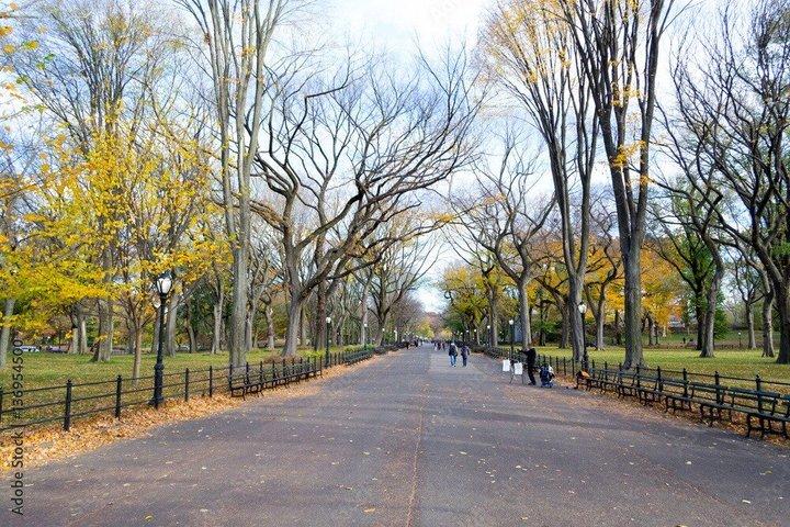 ニューヨーク日帰りツアー：セントラルパーク、9.11、自由の女神フェリー