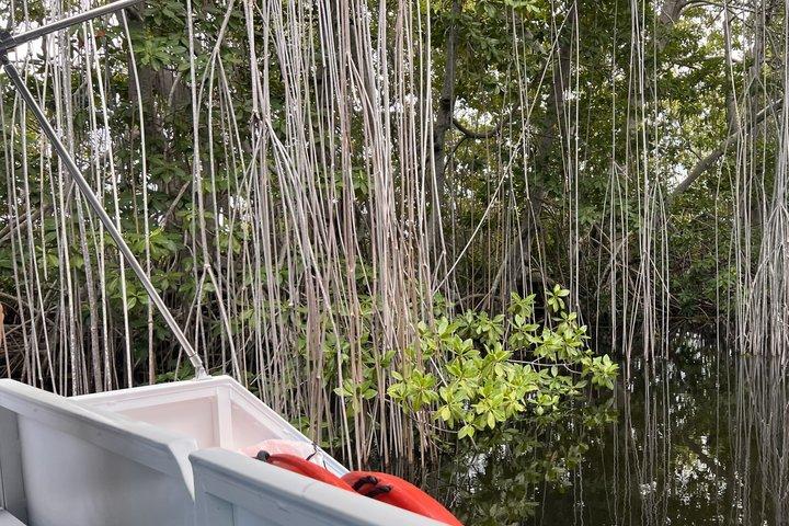 Private Appleton Estate Rum Tour & Black River Safari –Experience