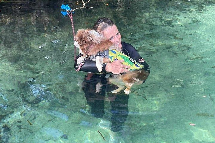 Rainbow River Scenic Eco Cruise with Optional Snorkeling