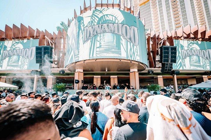 Las Vegas: VIP Pool Crawl with Party Bus, Express Entry & Drinks
