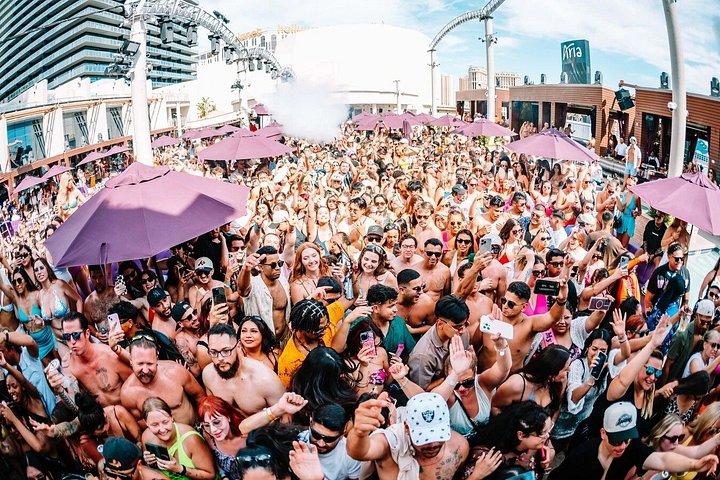 Las Vegas: VIP Pool Crawl with Party Bus, Express Entry & Drinks