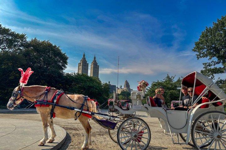 NYC : Official Guided Central Park Horse Carriage Ride （公式ガイド付きセントラルパークホースキャリッジライド）