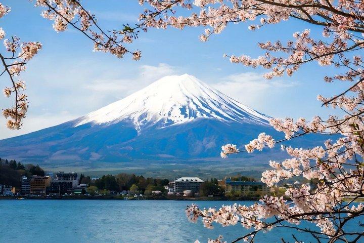 Från Tokyo: Privat tur till Mount Fuji med Engelska Guide