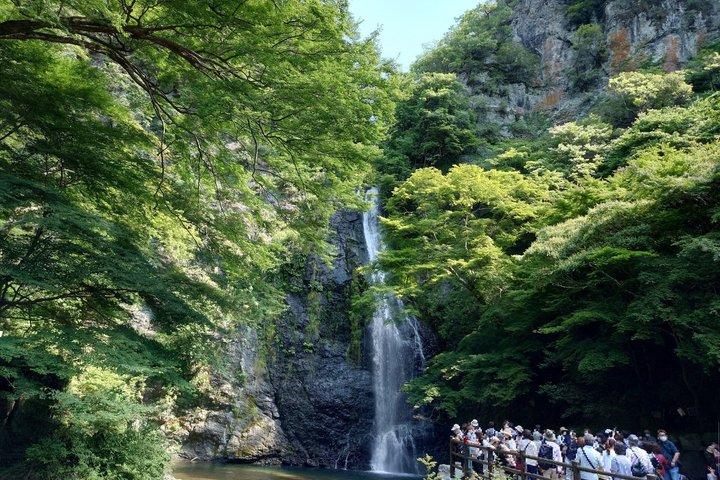 大阪箕面滝を体験,宇治・勝王子・さくらバスツアー