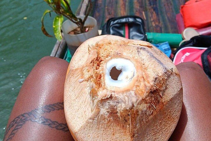 ブルーホール、秘密の滝＆モンテゴ湾からのバンブー川ラフティング