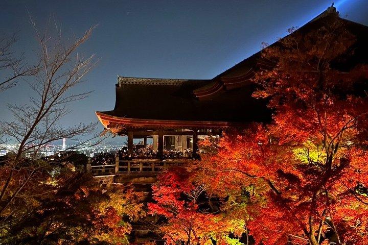 京都大阪奈良3日間現地英語ガイドドライバー付き