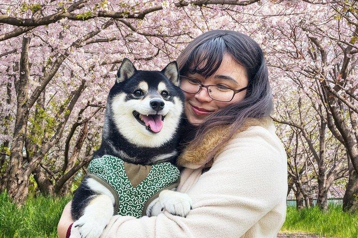 靖国神社柴犬散歩 東京の静かな一面を探る