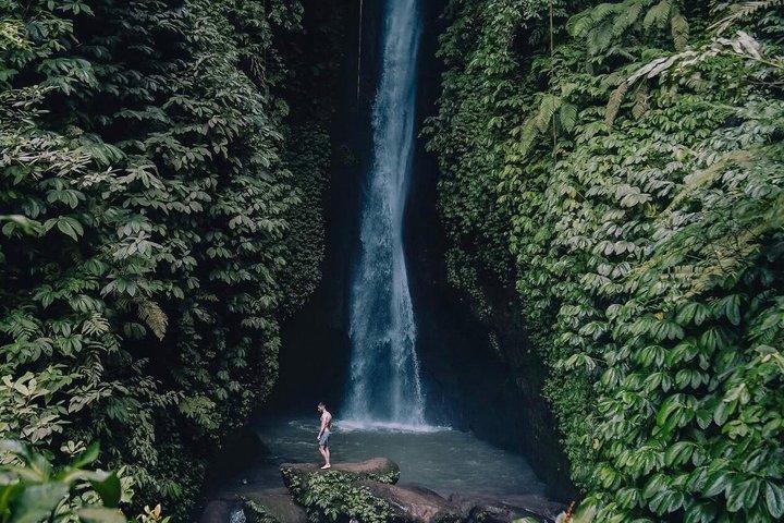 Cascate nascoste di Bali (privato e all-inclusive)
