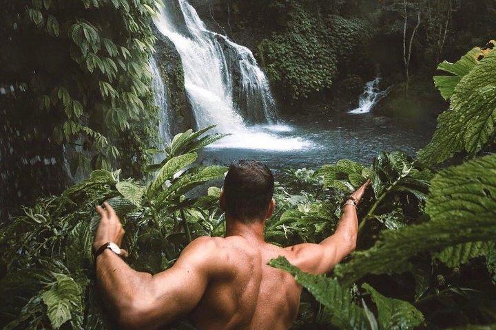 Cascate nascoste di Bali (privato e all-inclusive)