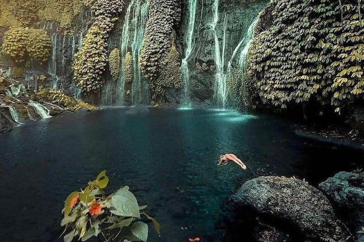 Cascate nascoste di Bali (privato e all-inclusive)