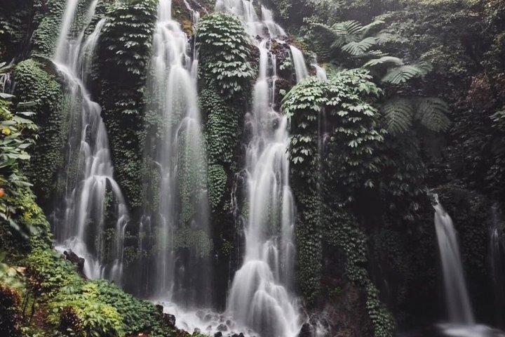 Cascate nascoste di Bali (privato e all-inclusive)
