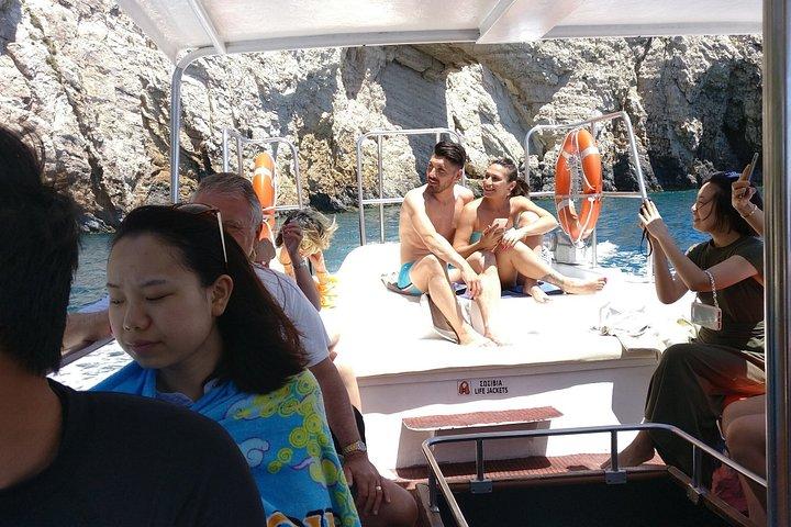 ケリ洞窟とタートル島へのザキントスグラスボトムボートツアー