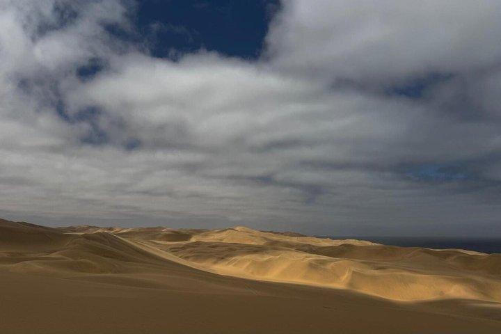 Sandwich Harbour 4X4 excursión de dunas